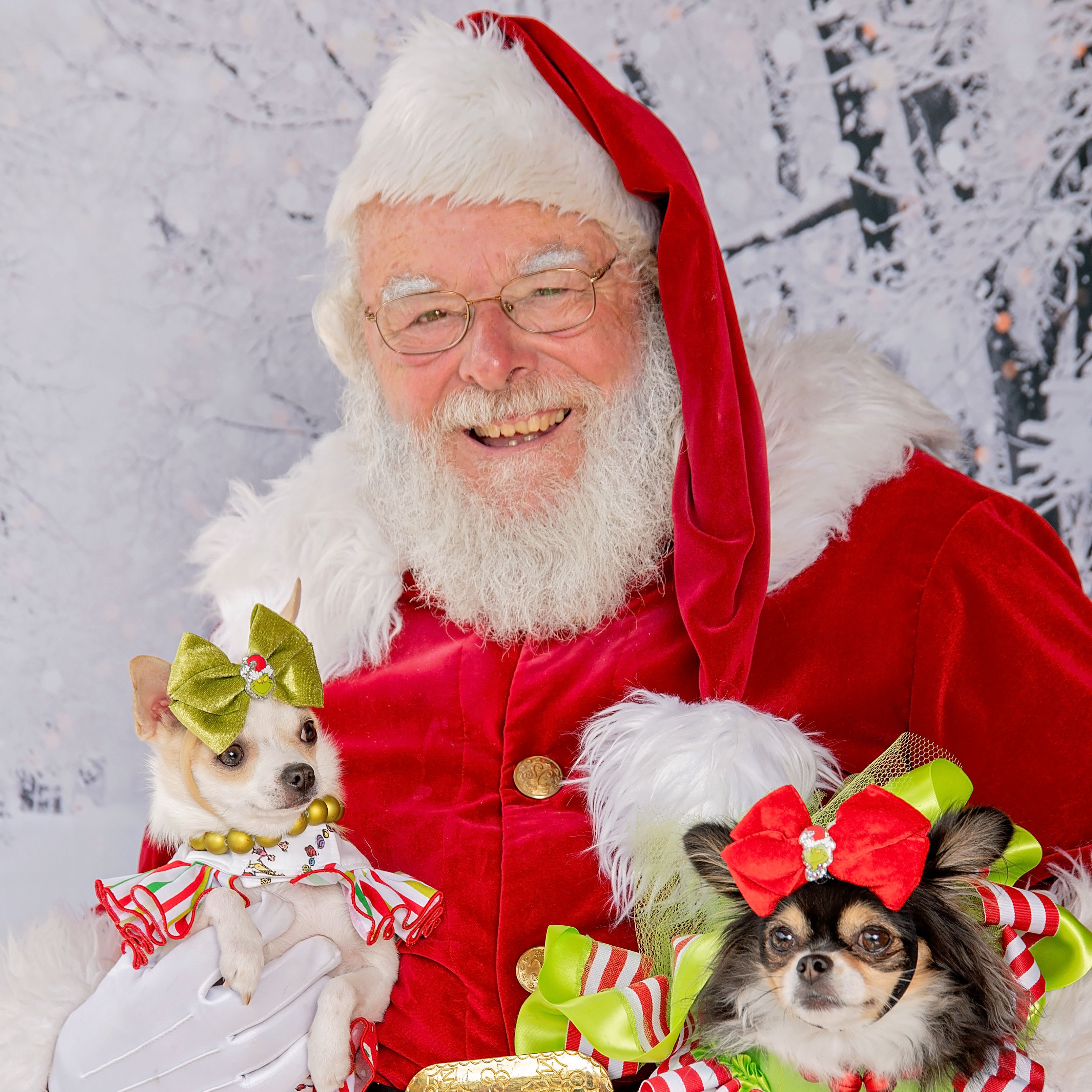 Santa Greg is an animal lover!